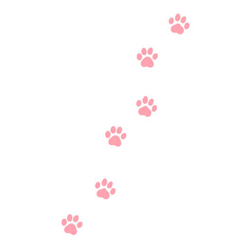 肉球のイラスト　ベクター