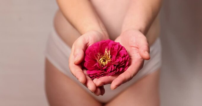Delicate and beautiful visualization of ovulation in a woman, a flower as a symbol of readiness for the birth of a child. High quality 4k footage