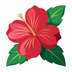 hibiscus flower vector illustration