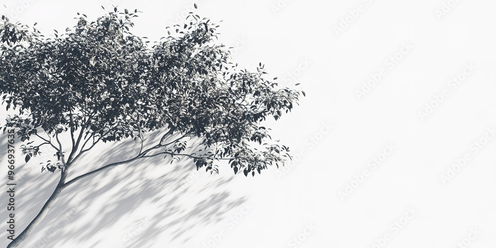 Poster realistic tree branches shadow overlay blur isolated on white backgrounds 3d render