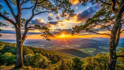 Sunset scene through trees in Shenandoah Valley