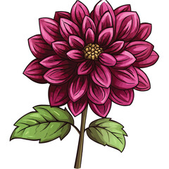 Obraz premium vector magenta dahlia flower clipart with green leaves on the stem