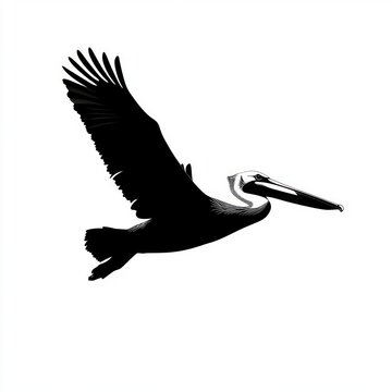 recommend clip art: A black and white silhouette of a pelican in flight.