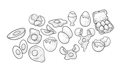 chicken eggs handdrawn collection