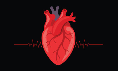 Human heart logo medical cardiology vector
