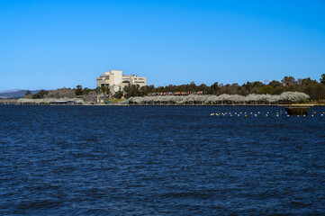 Obraz premium The photo showcases the beautiful scenery on both sides of the Lake Burley Griffin