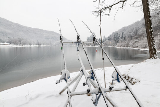 Fishing adventures. Carp fishing in winter with snow on lake. Fishing tackle covered in snow, three fishing rods with reels on a rod pod with three electronic bite alarms