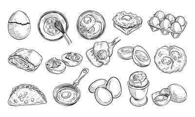 chicken eggs handdrawn collection