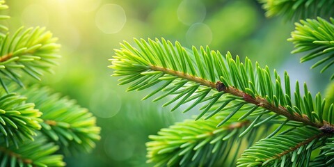 Thin green spruce needles on a floral background for a minimalist design