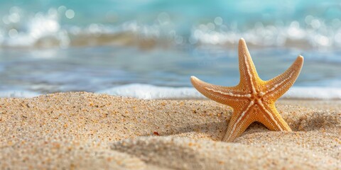 Sea star on the shore. Scenic view of sandy beach, sea star, with blue ocean in the backdrop. Ample space for text, conveying a sense of relaxation, vacation, and summer themes.