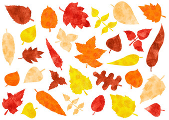 Fototapeta premium Set of autumn leaves of different shapes and type of trees. Colored pencils. Strokes texture. White background. Peach, yellow, orange, red, brown. Different shades. Autumn background.