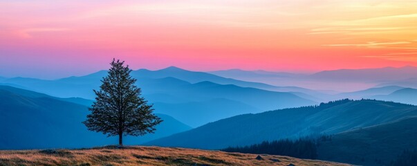 Fototapeta premium Lone tree on mountain meadow at sunrise, serene landscape scene. Nature and tranquility concept