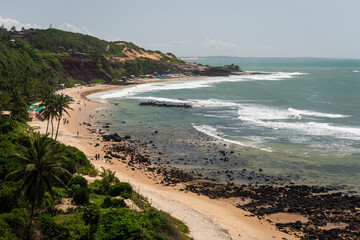 Beautiful view to coconut palm trees in wild Amor beach in Pipa