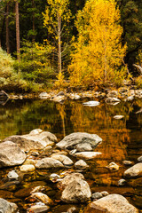 Serene autumn scene with golden trees reflected in the water.