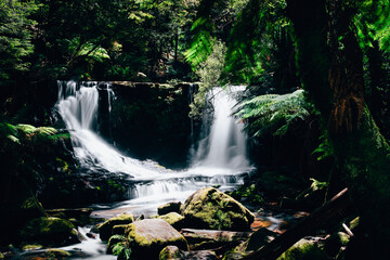 Serene waterfall in lush forest with mossy rocks, Horseshoe Falls