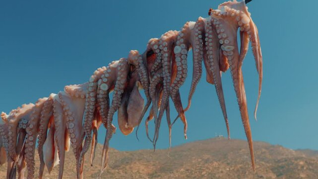 Octopus drying in Greece on the island of Ios, travelling