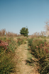 cozy farm with pumpkins on an autumn day, autumn location decor