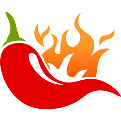 Spicy Chili with Flame