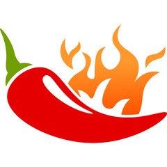 Spicy Chili with Flame