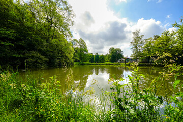 View of the pond and the surrounding nature in the Wallenstein district in the northern Hesse...