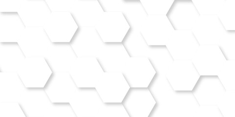 Fototapeta premium Abstract with hexagonal with hexagon polygonal pattern background vector. seamless bright white grid pattern honeycomb background. 