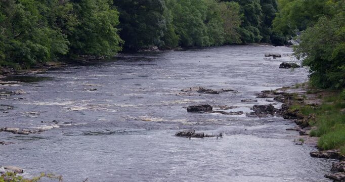long shot of the river ure just after the lower falls at Aysgarth falls on the river ure, Yorkshire dales
