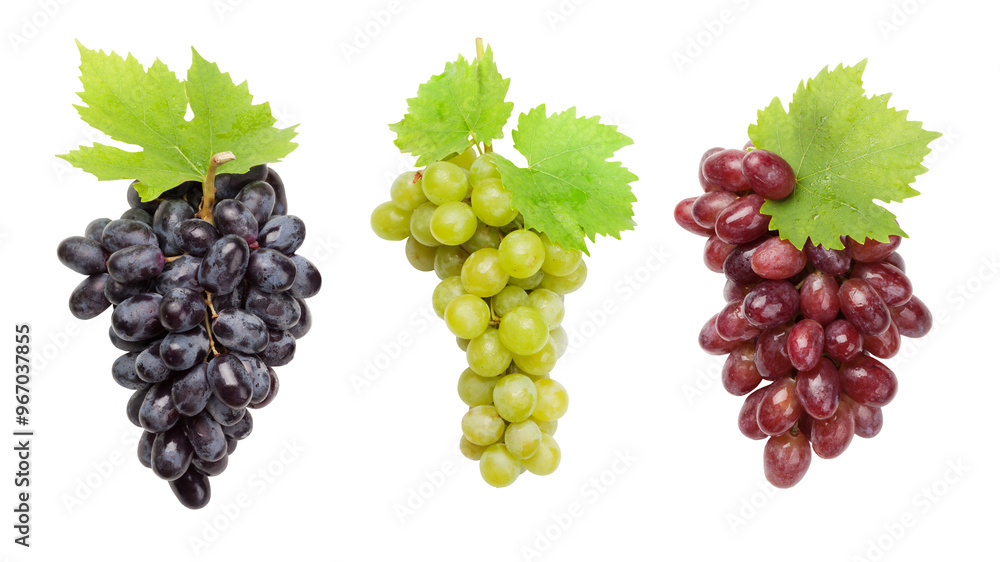 Wall mural colorful grapes