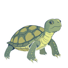 Obraz premium tortoise vector art, tortoise illustration, graphics tortoise icon