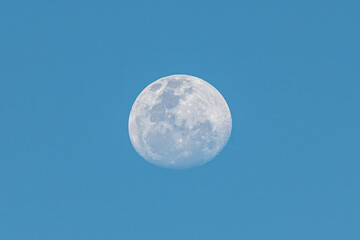 Not quite a full moon - Waxing Gibbous Moon in the late afternoon blue sky
