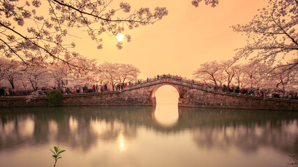 sakura bridge over lake © XXD