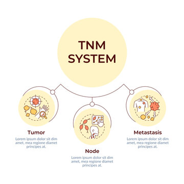TNM system circular diagram infographic. Cancer diagnostics. Oncology. Tumor and metastasis. Data visualization with 3 options. Hierarchy chart round. Montserrat SemiBold, Lato Regular fonts used