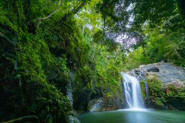 Jed Kot Waterfall, Jedkod-Pongkonsao Hiking and Camping Park ,Saraburi, The image could be named Waterfall Amidst the Lush Jungle Forest © ธานี สุวรรณรัตน์