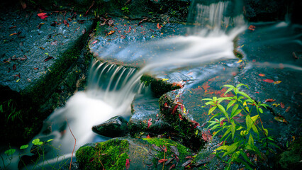 waterfall in the forest