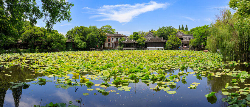 landscape of chinese garden