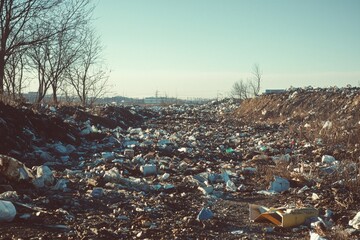 Waste landfill illustration created with Generative AI