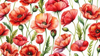 watercolor pattern of red poppies on white background close-up
