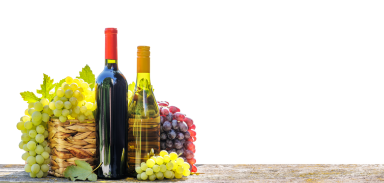 Bottles of red and white wine