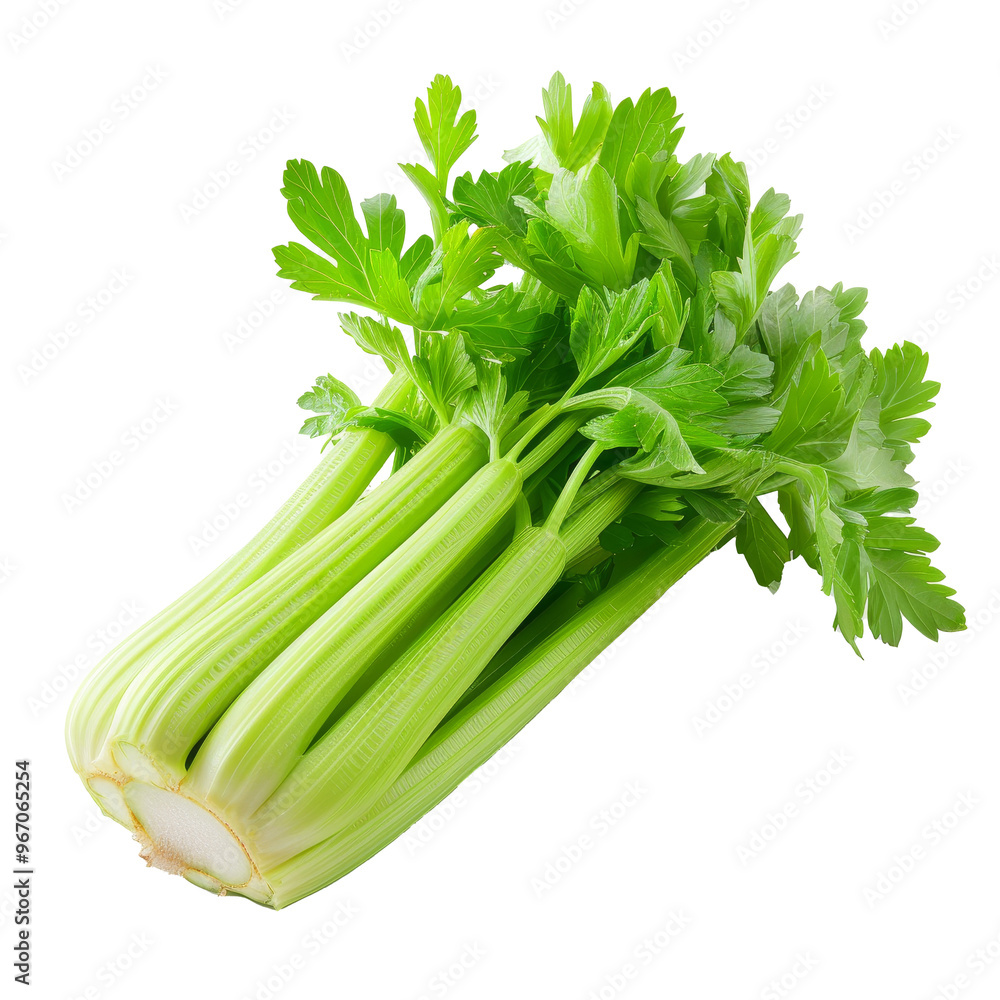 Poster fresh green celery stalks arranged neatly on a transparent background showcasing the vibrant color a