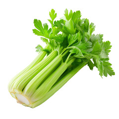 Fresh green celery stalks arranged neatly on a transparent background showcasing the vibrant color and crisp texture suitable for salads and cooking
