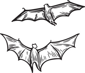 Two bats flying line drawing vector illustration.