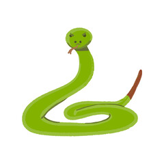 Fototapeta premium Snake 
