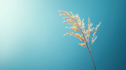 Golden plant against blue background with copy space for text