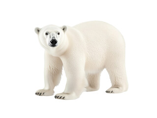 a polar bear standing on a white background