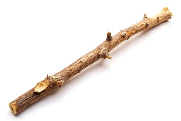 Wooden stick dried branch isolated on white background