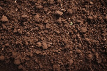 Fertile soil close-up texture flat lay background