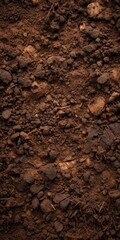 Fertile soil close-up texture flat lay background
