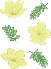 embroidery yellow wild flower botanical illustration