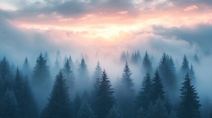 Fototapeta premium A mystical forest shrouded in mist, with trees reaching towards a sky filled with fluffy clouds that resemble cotton candy.