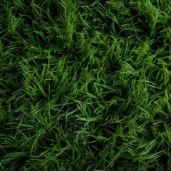 Lush green grass meadow close-up texture flat lay background