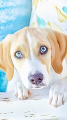 Canine Expression